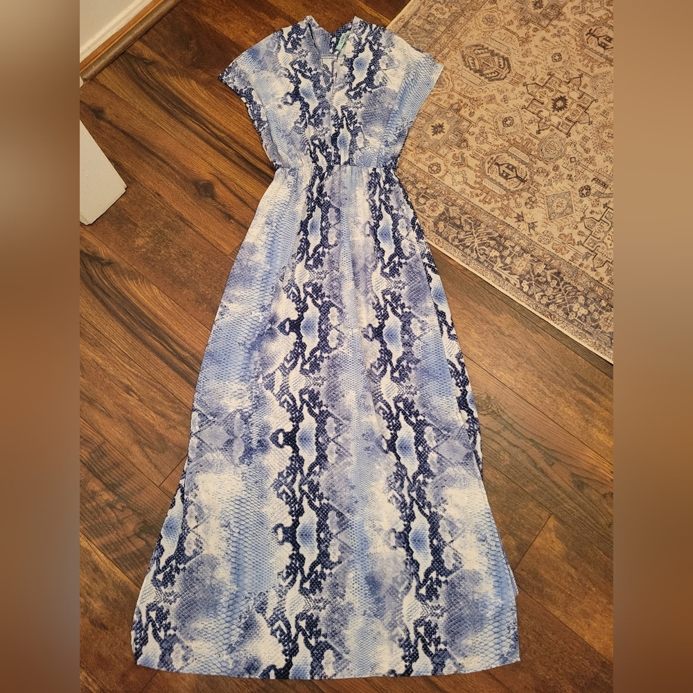 Blue Snake Print Maxi Dress